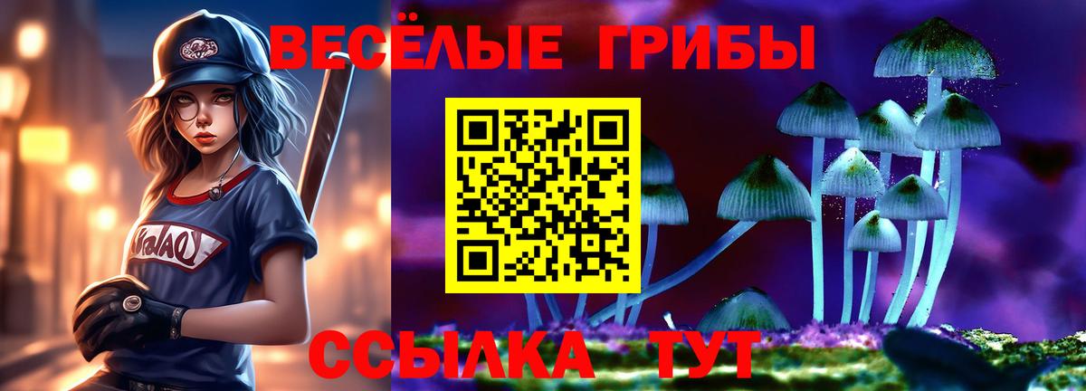 Галлюциногенные грибы прущие грибы  как найти наркотики  Вход с VPN  Арзамас  Псилоцибиновые грибы Psilocybine cubensis 